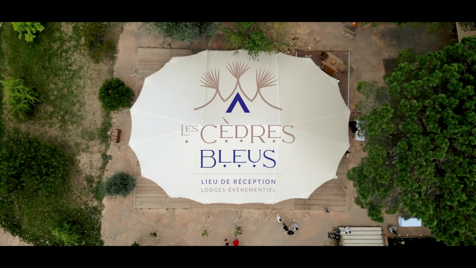 Les Cèbres Bleus